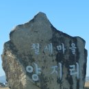 철원 양지리 철새 2024. 12. 9 이미지