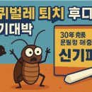 경인약국 | 바퀴벌레 퇴치 효과 후기대박 30년 전통 분필형 해충약 신기패