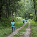 스테이녹음