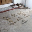 춤으로 하나되다 이미지