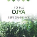 오자의마법사 - 화성시 | 오자의마법사