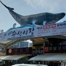 재부수산