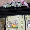 리프패럿 이미지