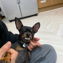 스테이 원(Stay One) 이미지