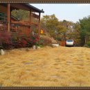 산청부동산공인중개사사무소 이미지