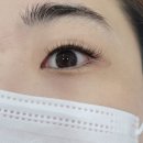 더뷰티플렉스 이미지
