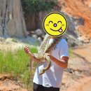 가재샘 | 베트남 무이네 지프투어 후기, 아이 동반 선셋투어