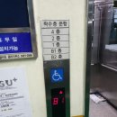 Y스킨갤러리 이미지