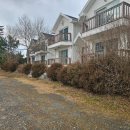 블루오션리조트홀리데이파크 이미지