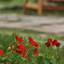 모닝캄빌리지 이미지