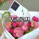 오크로브 | 수원 꽃집 호매실 꽃다발 오크로브 후기