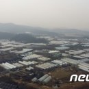 경마루 스테이 이미지