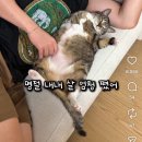 낱낱이 봄;내_일적 | [수영일기] 2026년 2월 수영강습 &amp; 자유수영후기