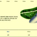 파인스톤컨트리클럽 이미지