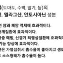 오색채 이미지
