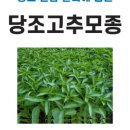 중앙종묘농약사 이미지