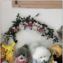 멍케이크 이미지