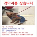 사하구 다대낙조1길, 2길 이미지