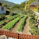 리온공인중개사사무소 이미지