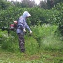 순복농장 이미지