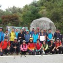 진산주 이미지