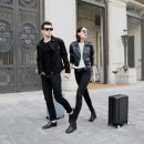 강아지홀릭 이미지