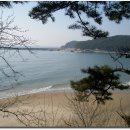 천리포선착장 이미지