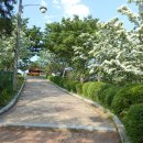 다사중학교 이미지