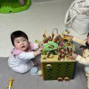 수내사 | 8개월 아기 장난감 추천｜대형 장난감 위주 솔직 후기 (내돈·내사용 기준)