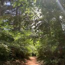 숲속빨간벽돌집 이미지