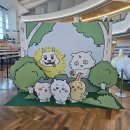 청주빌딩 | 【AeroK 탑승 후기】 오키나와->청주->오키나와