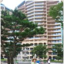 펠리체리조트 이미지