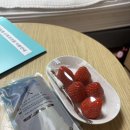제주 메종포레 산후조리원 | 제주 메종포레 산후조리원 13박14일 후기(대강추❤️)