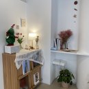 라이블리(Lively) 이미지