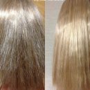 바비헤어 이미지