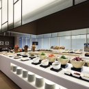 스테이 인가 이미지