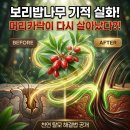 국립산림과학원
산림바이오소재연구소 | 머리카락이 다시 살아났다?! 보리밥나무의 기적 실화 공개