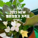 벨톤보청기 이미지