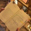 금성당 | 전주놀거리 여행자 뿐 아니라 현지인한테도 추천한 금성당 후기