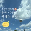 플라잉펫 | 수원역 홈씨씨·수원메쎄 펫페어 방문 후기｜동물의약품부터 반려동물 볼거리까지