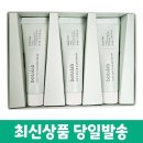 인셀덤 제스트