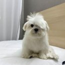 한옥마을] 2박 3일 여행 후기(1일차/한옥숙박 미쁨...성당, 풍남헌, 전주남부시장 야시장, 바 차가운 새벽)