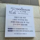 미용빌딩 | [도그라움] 울산 중구 강아지 목욕 & 미용 찐 후기 (대형견 재방문) / 호텔링도 가능!