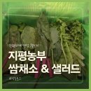 크린독 | 지평농부 쌈채소 내돈내산 구매후기 맛있는 샐러드 토핑 추천