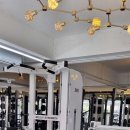 제이블래시짐 이미지