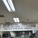 베트남쌀국수포느황