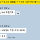 놀러오개 애견유치원 애견호텔 안양점 이미지