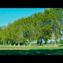 At Eternity’s Gate | 고흐, 영원의 문에서 (At Eternity's Gate, 2018)