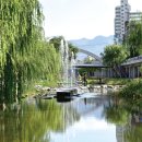 내린천자원 이미지