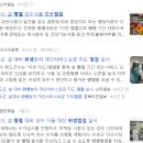 해동 행정사 사무소 이미지